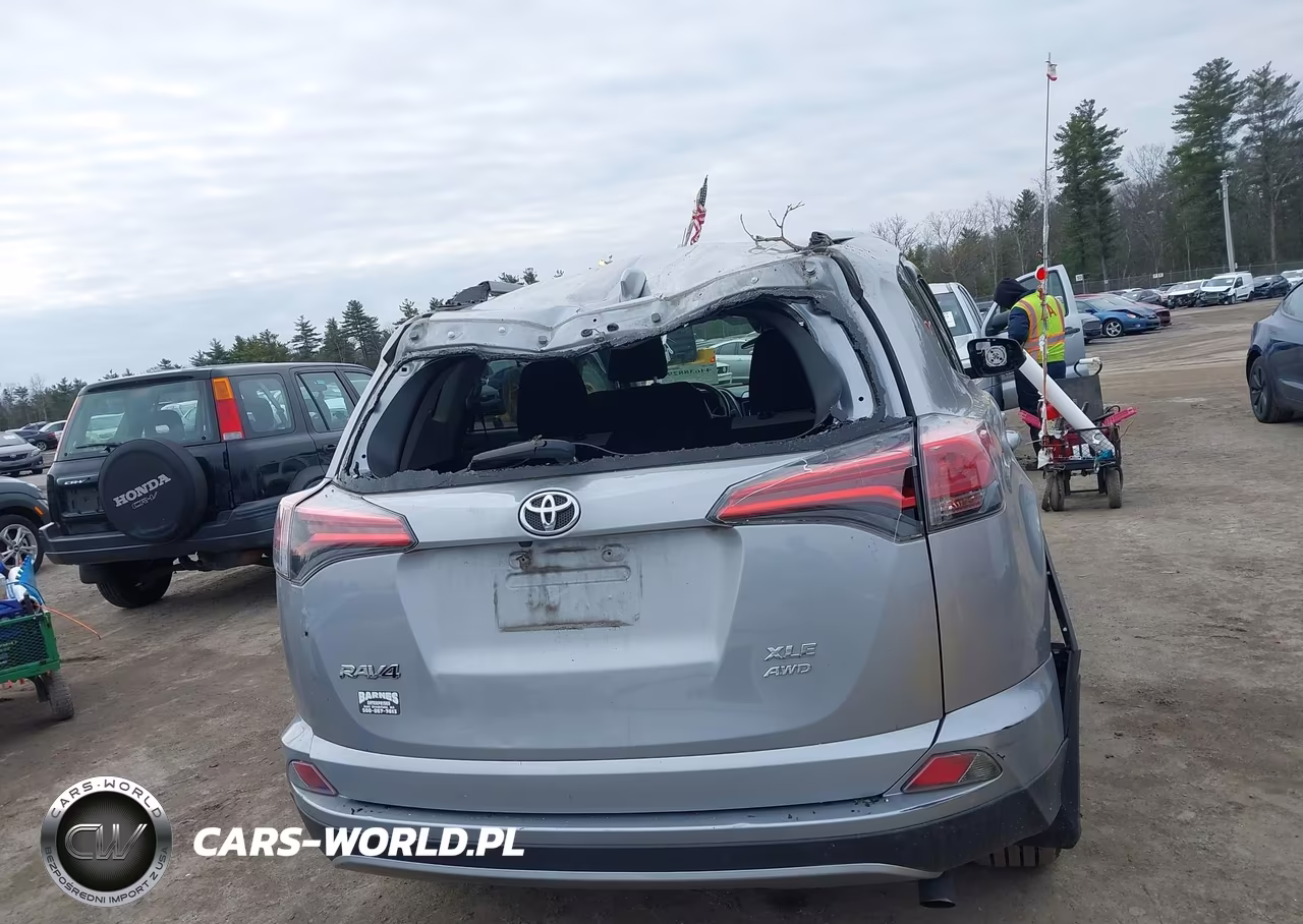 2017 Toyota Rav4 Xle VIN:2T3RFREV1HW659226 - 17