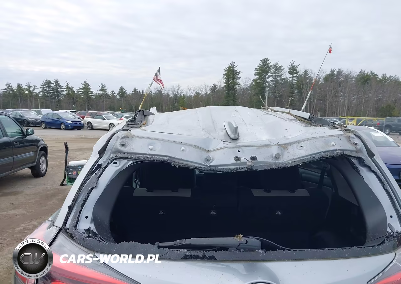 2017 Toyota Rav4 Xle VIN:2T3RFREV1HW659226 - 6