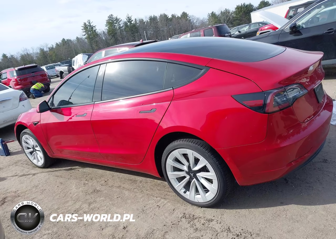 2021 Tesla Model 3 Long Range Dual Motor All-Wheel Drive VIN:5YJ3E1EBXMF013165 - 14