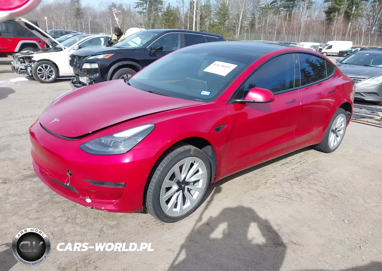 2021 Tesla Model 3 Long Range Dual Motor All-Wheel Drive VIN:5YJ3E1EBXMF013165 - 2
