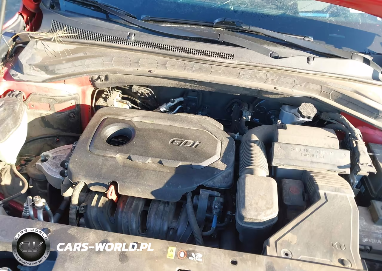 2020 Hyundai Santa Fe Limited VIN:5NMS53AD0LH291925 - 10