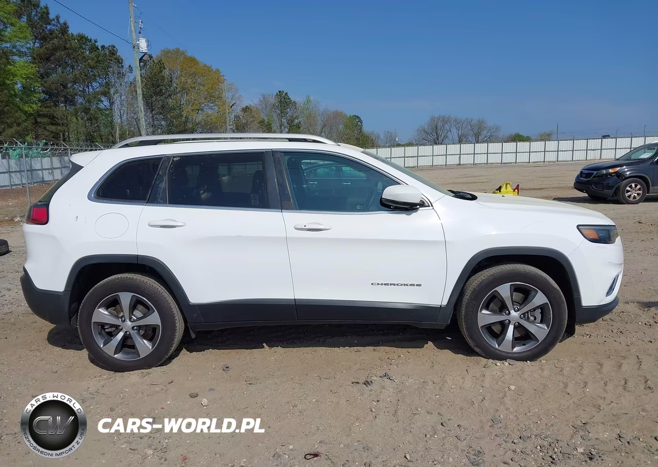 2019 Jeep Cherokee Limited 4X4 VIN:1C4PJMDN3KD133761 - 13