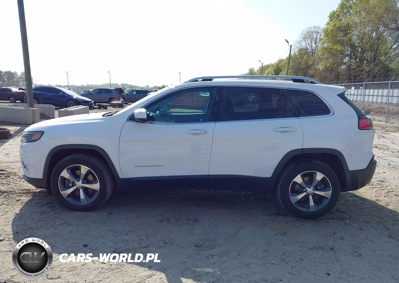 2019 Jeep Cherokee Limited 4X4 VIN:1C4PJMDN3KD133761 - 14
