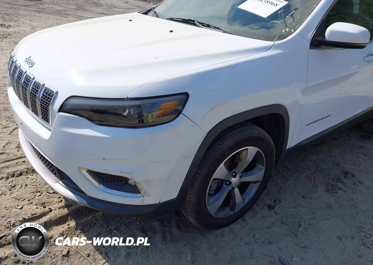 2019 Jeep Cherokee Limited 4X4 VIN:1C4PJMDN3KD133761 - 6