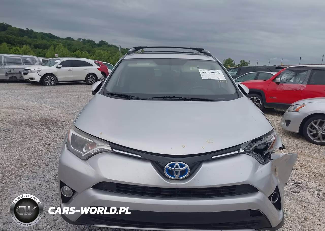 2016 Toyota Rav4 Hybrid Xle VIN:JTMRJREV9GD041405 - 12