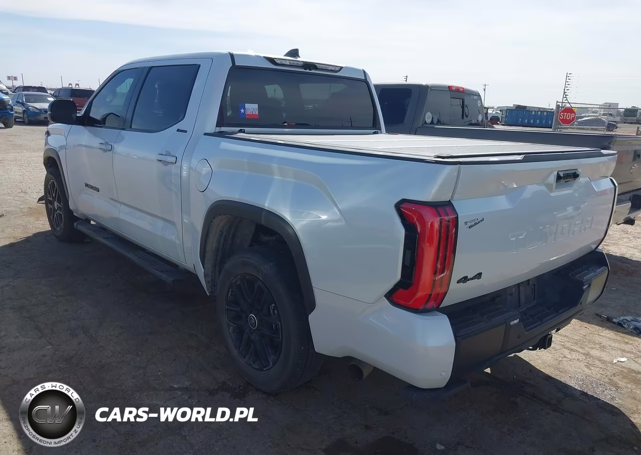 2024 Toyota Tundra Hybrid Limited 4Wd VIN:5TFWC5DB2RX058562 - 3