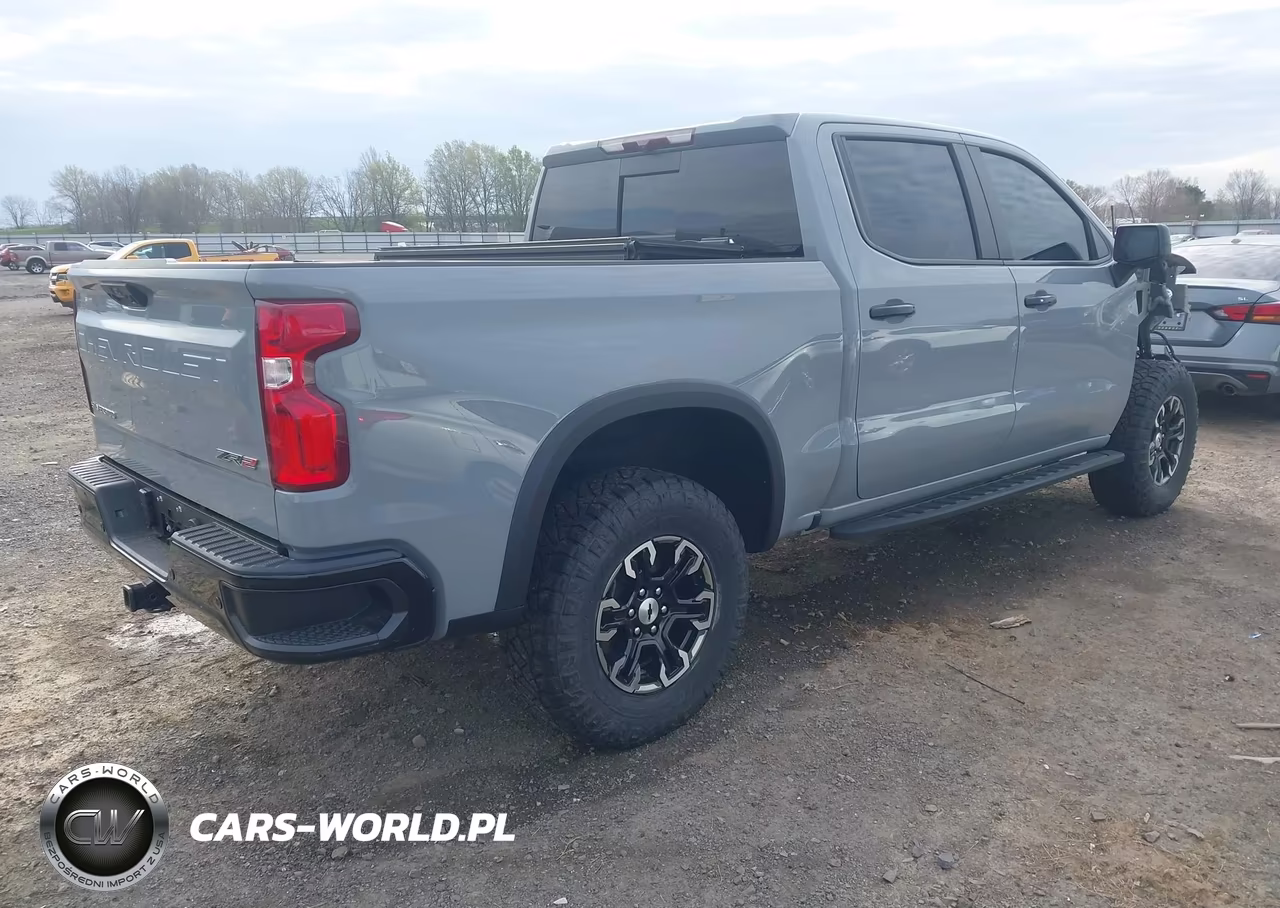 2024 Chevrolet Silverado 1500 4Wd Short Bed Zr2 VIN:3GCUDHE85RG142940 - 4