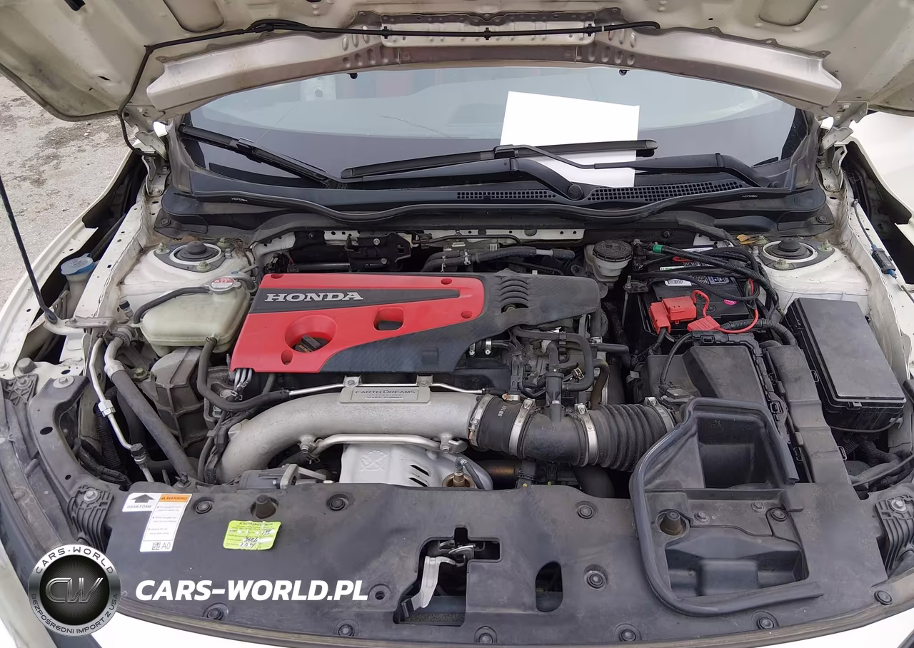 2018 Honda Civic Type R Touring VIN:SHHFK8G71JU203065 - 10