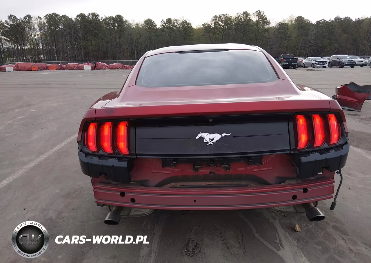 2018 Ford Mustang Ecoboost VIN:1FA6P8TH5J5174436 - 17