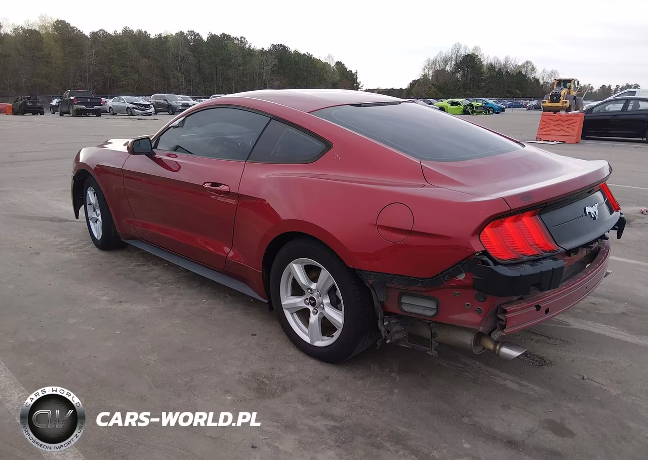 2018 Ford Mustang Ecoboost VIN:1FA6P8TH5J5174436 - 3