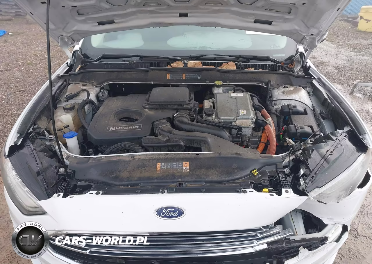 2018 Ford Fusion Hybrid Se VIN:3FA6P0LU1JR281494 - 10