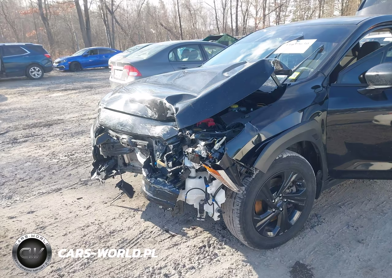 2024 Subaru Crosstrek VIN:JF2GUABC1R8340404 - 6
