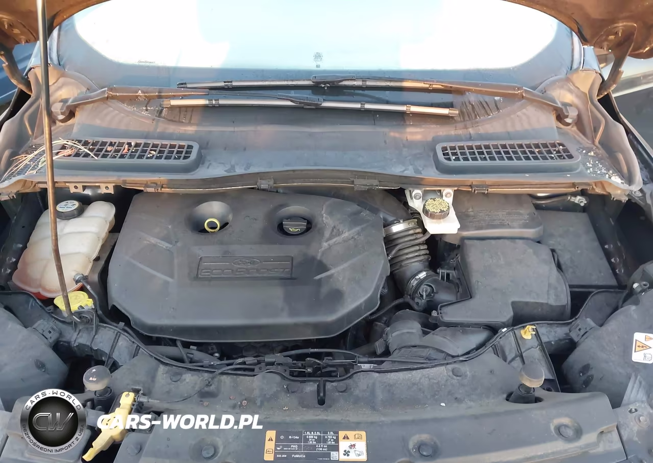 2014 Ford Escape Titanium VIN:1FMCU0J98EUA53393 - 10