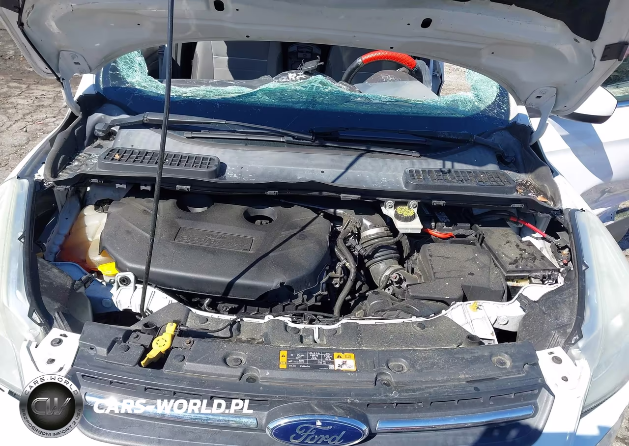 2014 Ford Escape Se VIN:1FMCU0G95EUD38589 - 10