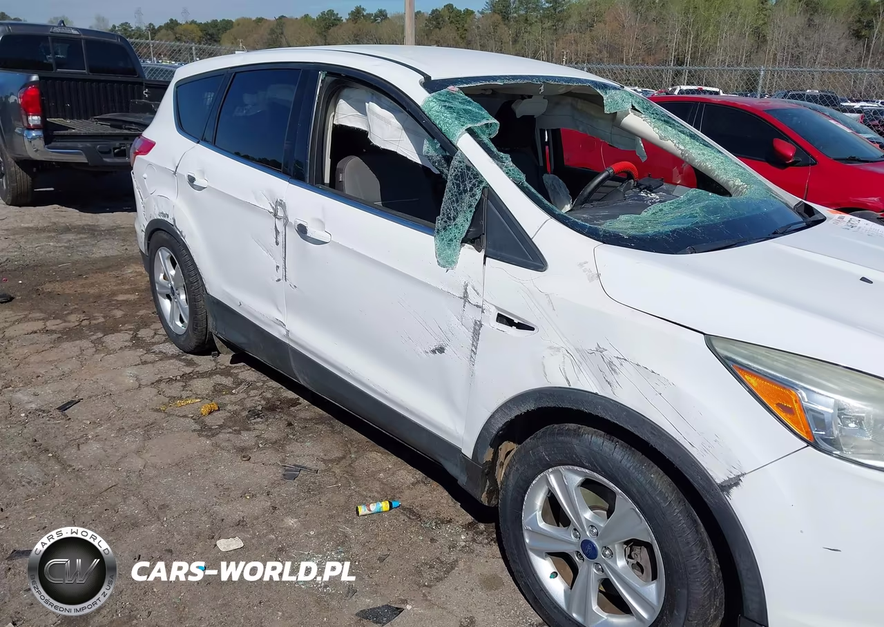 2014 Ford Escape Se VIN:1FMCU0G95EUD38589 - 13