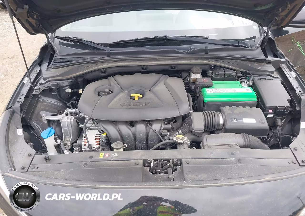 2018 Hyundai Elantra Gt VIN:KMHH35LE2JU016382 - 10