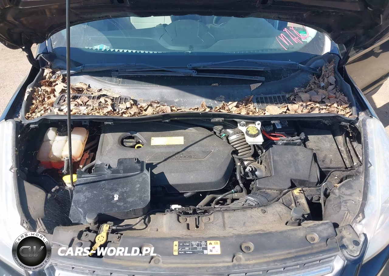 2016 Ford Escape Se VIN:1FMCU0GX2GUC83021 - 10