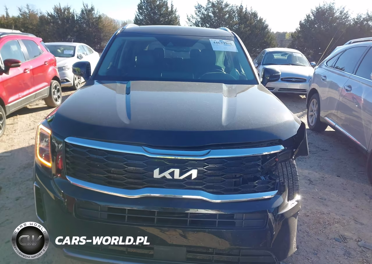 2022 Kia Telluride Ex VIN:5XYP34HC1NG289421 - 12