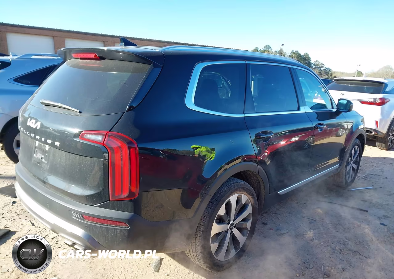 2022 Kia Telluride Ex VIN:5XYP34HC1NG289421 - 4