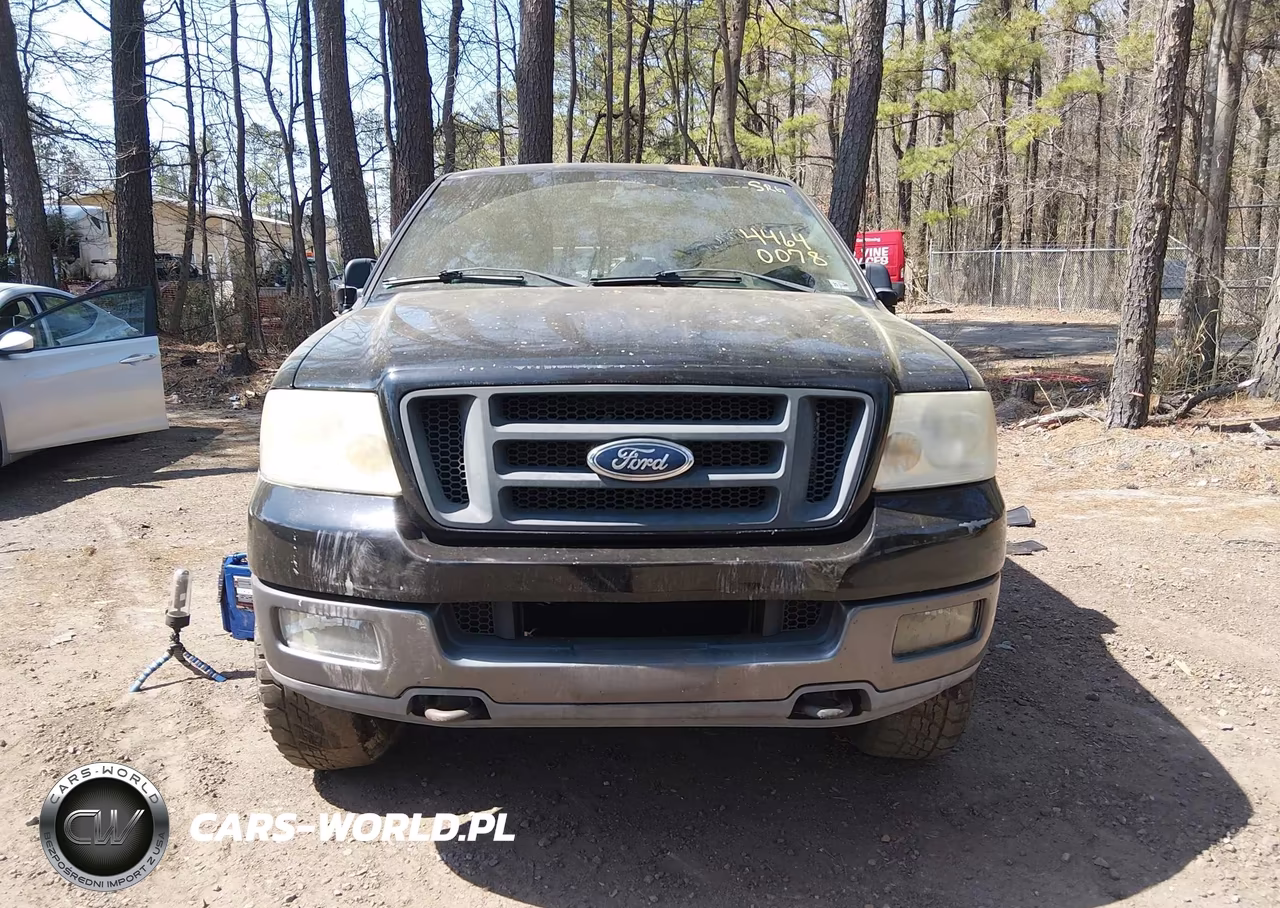 2004 Ford F-150 Fx4-Xlt VIN:1FTPX04574KD81131 - 12