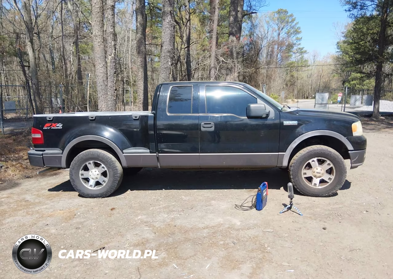 2004 Ford F-150 Fx4-Xlt VIN:1FTPX04574KD81131 - 13