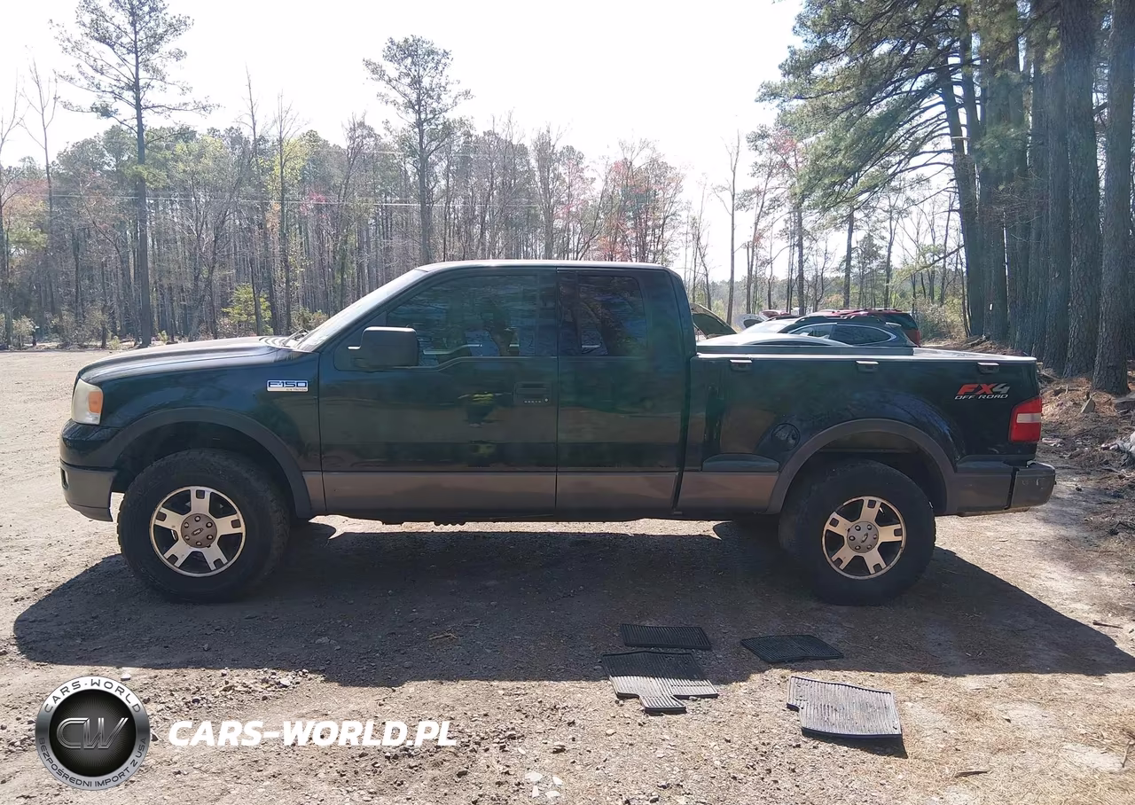 2004 Ford F-150 Fx4-Xlt VIN:1FTPX04574KD81131 - 14
