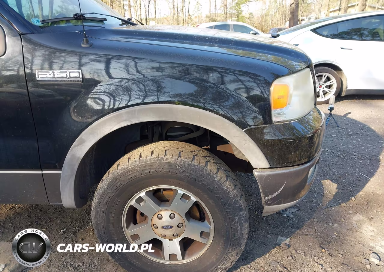 2004 Ford F-150 Fx4-Xlt VIN:1FTPX04574KD81131 - 17