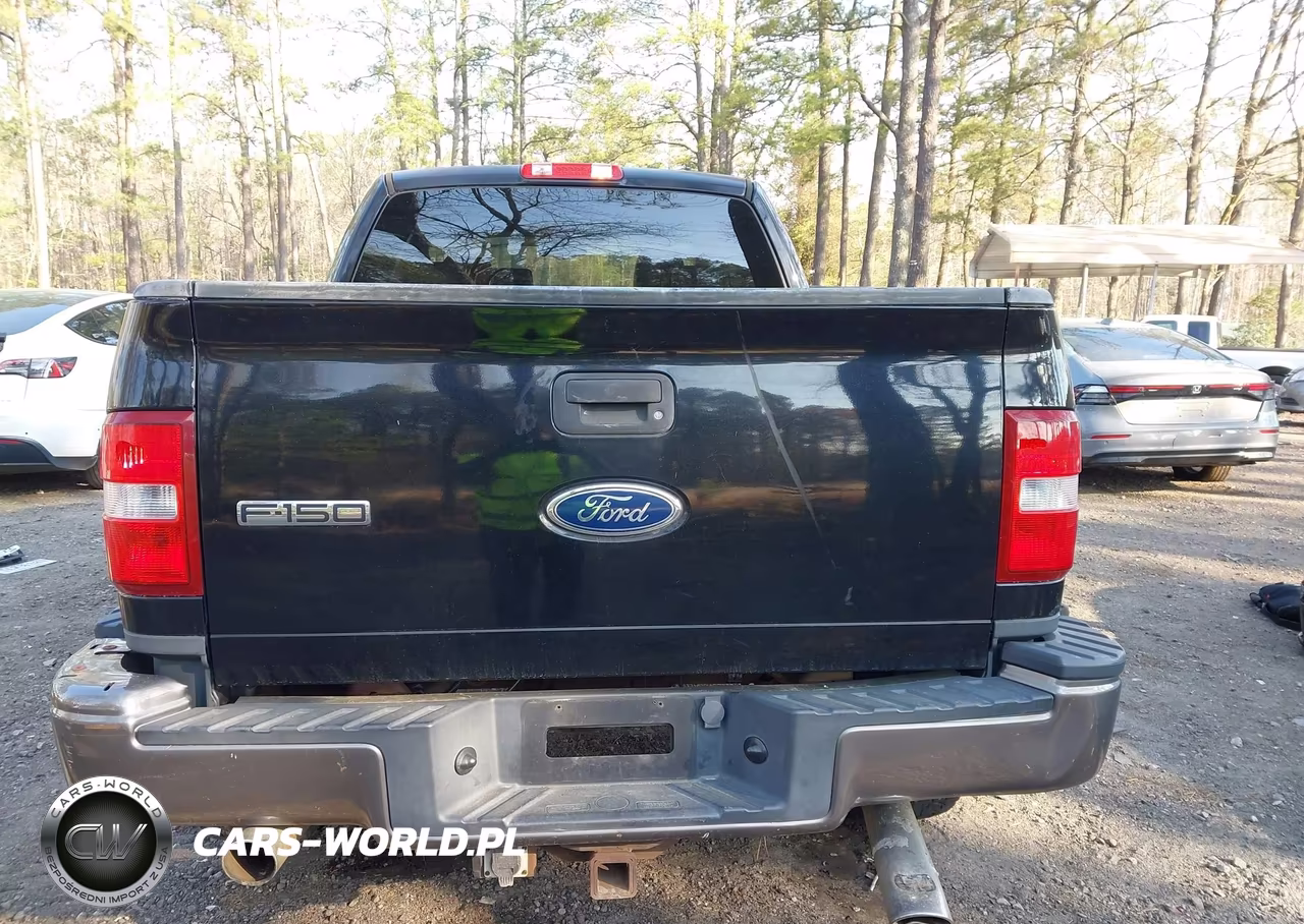 2004 Ford F-150 Fx4-Xlt VIN:1FTPX04574KD81131 - 18