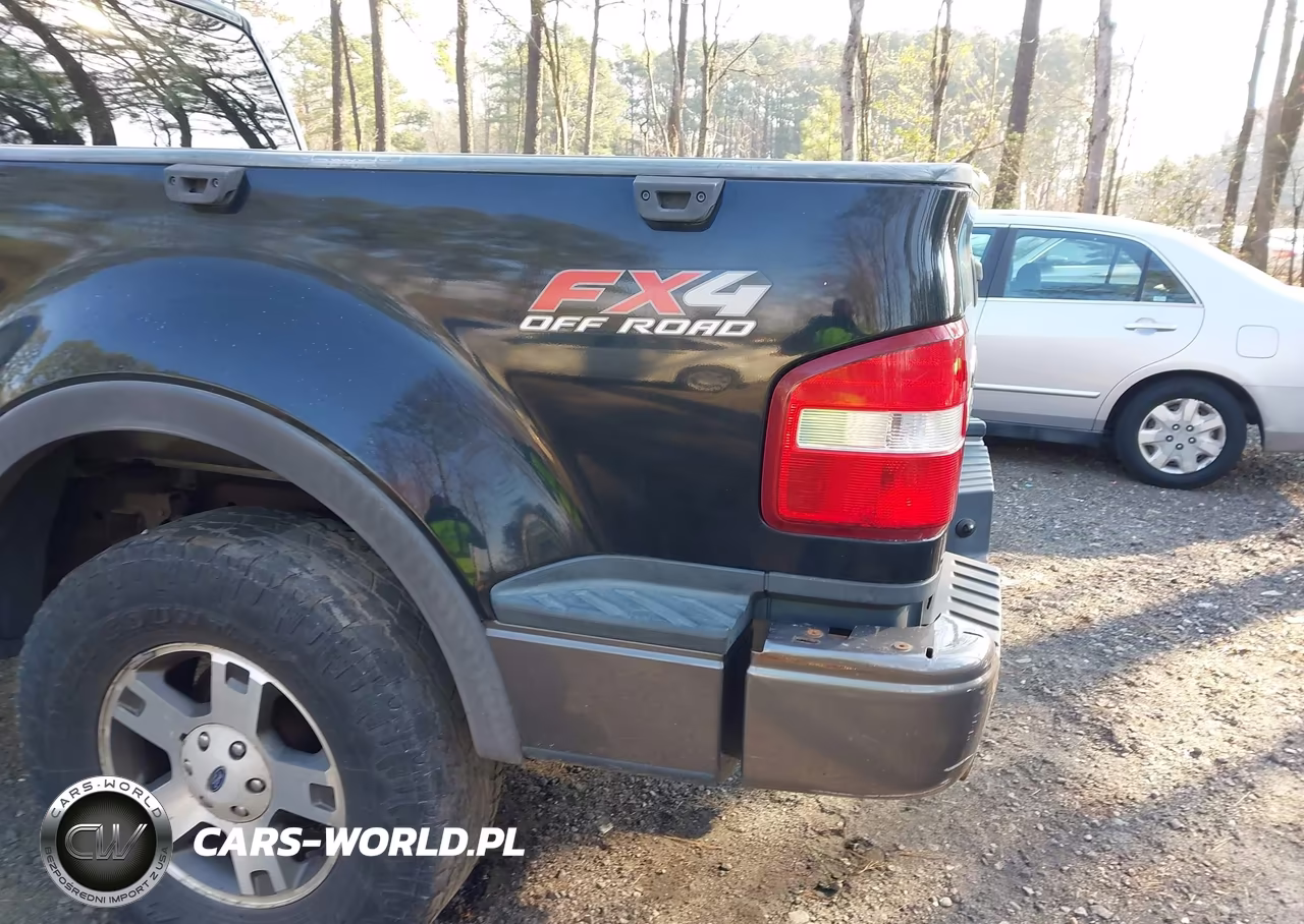 2004 Ford F-150 Fx4-Xlt VIN:1FTPX04574KD81131 - 19