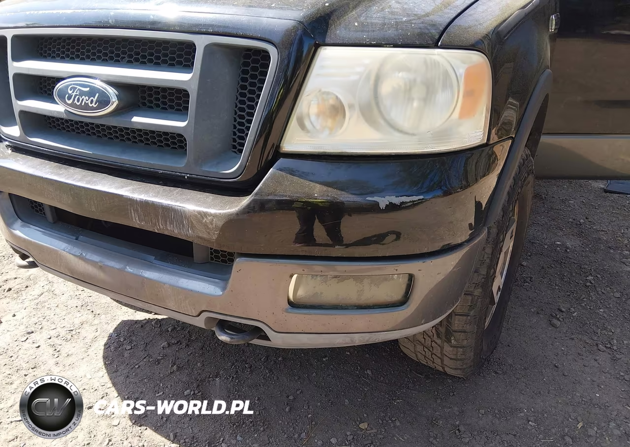 2004 Ford F-150 Fx4-Xlt VIN:1FTPX04574KD81131 - 6
