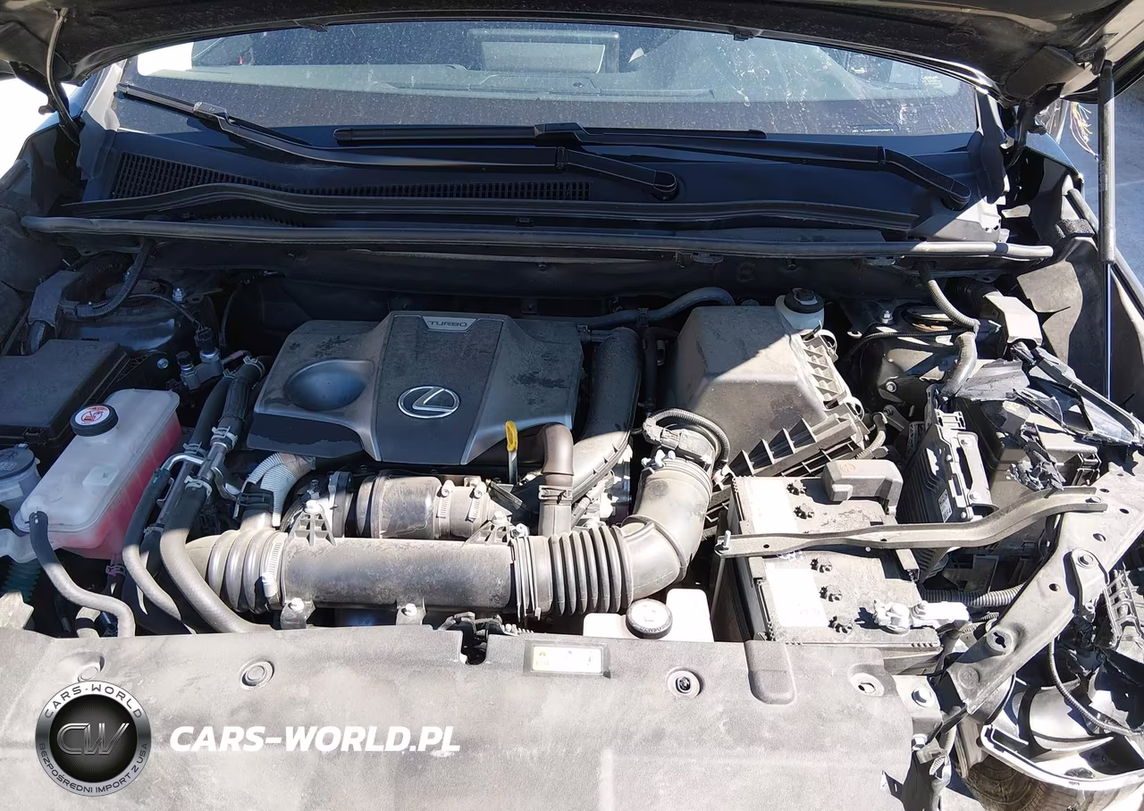2021 Lexus Nx 300 VIN:JTJGARDZ7M2260587 - 10