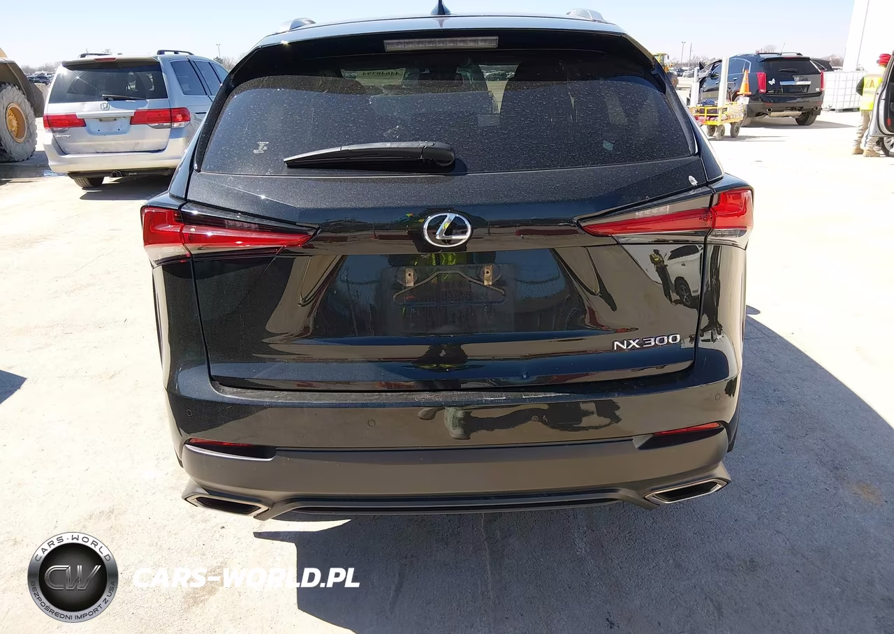 2021 Lexus Nx 300 VIN:JTJGARDZ7M2260587 - 16