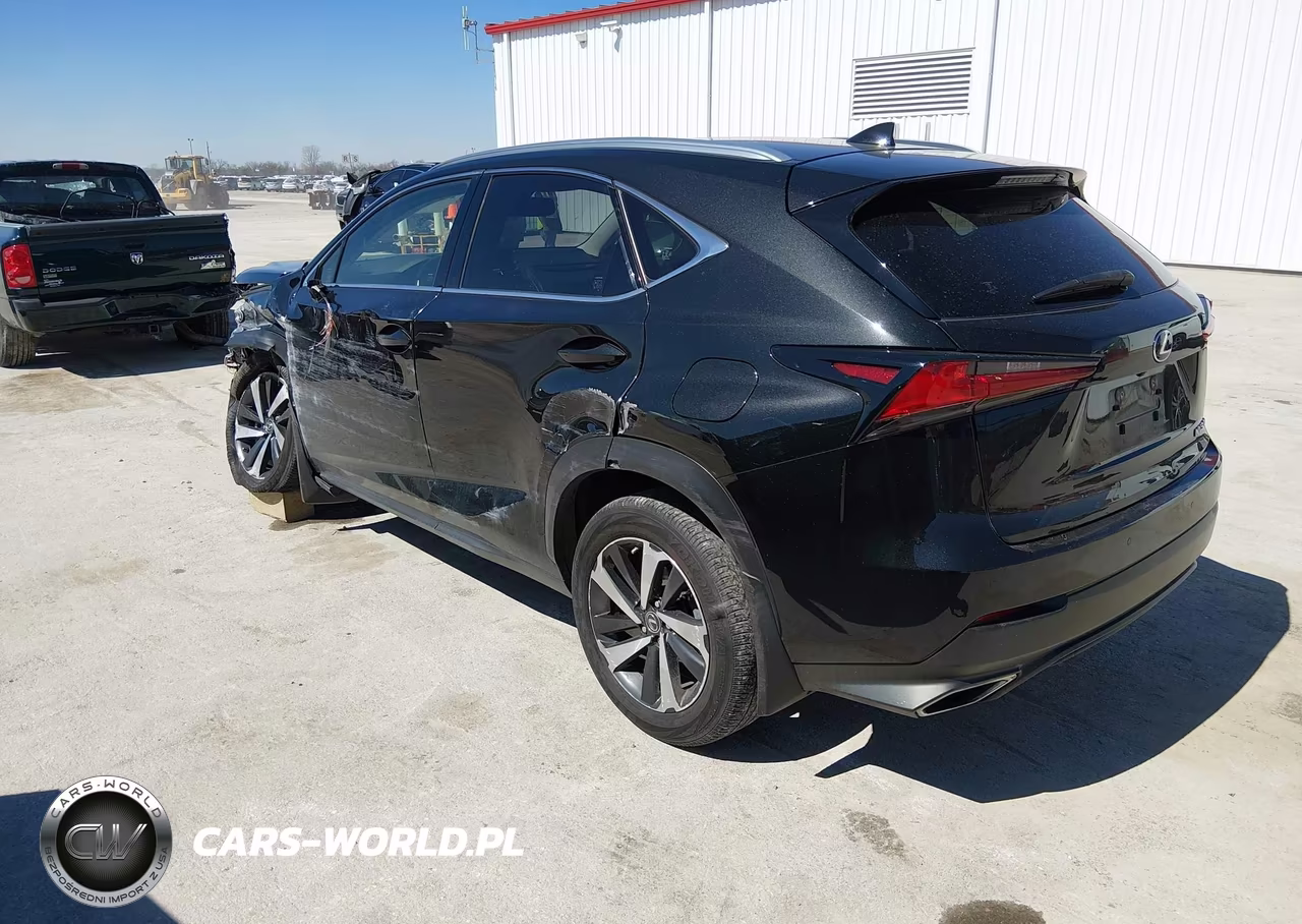 2021 Lexus Nx 300 VIN:JTJGARDZ7M2260587 - 3