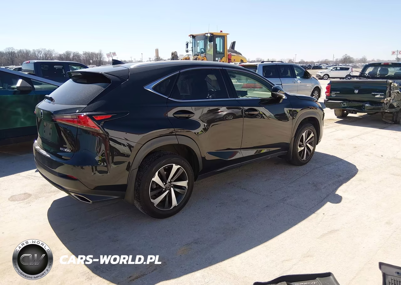 2021 Lexus Nx 300 VIN:JTJGARDZ7M2260587 - 4