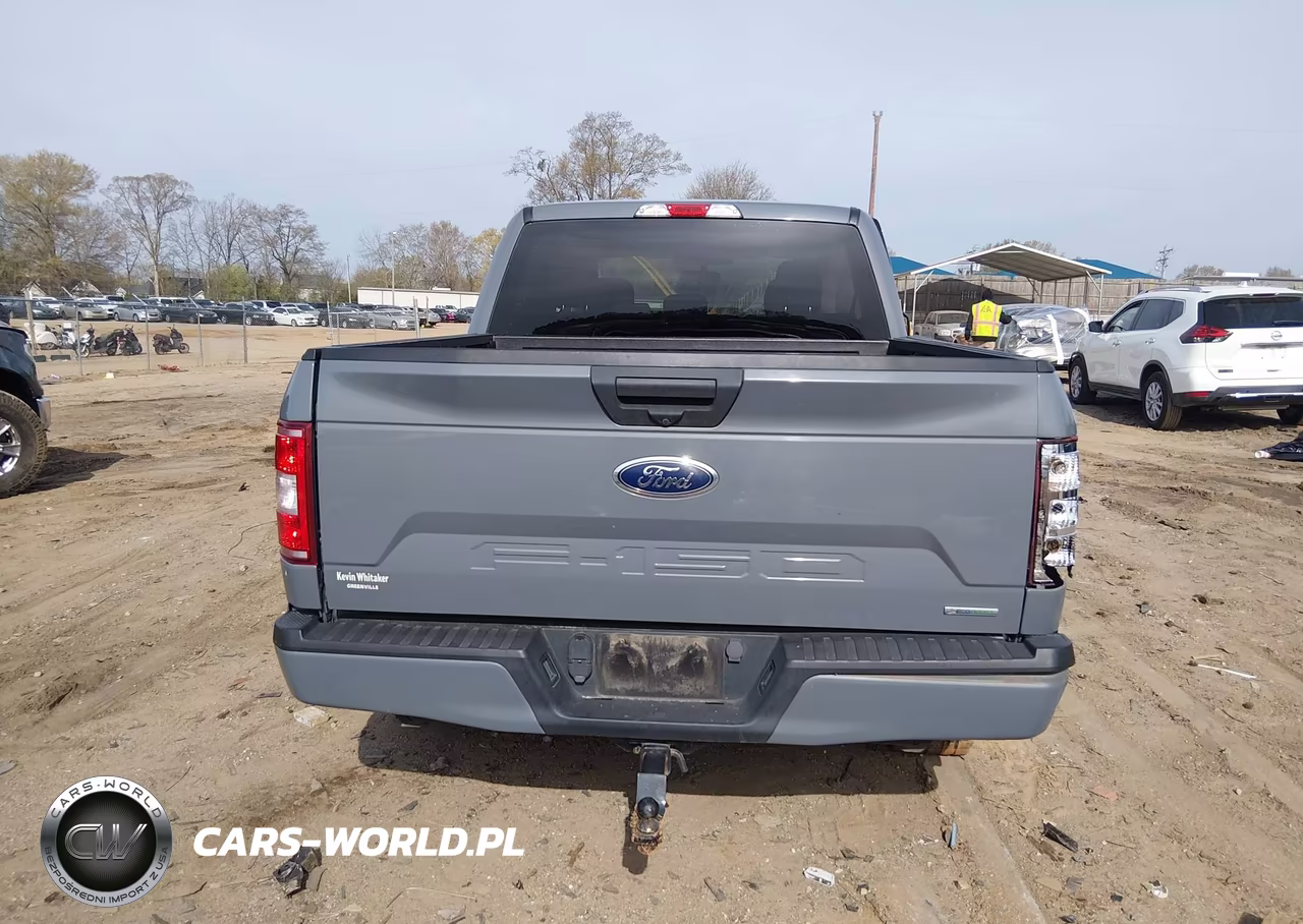2020 Ford F-150 Xl VIN:1FTEW1CP1LKD41807 - 17
