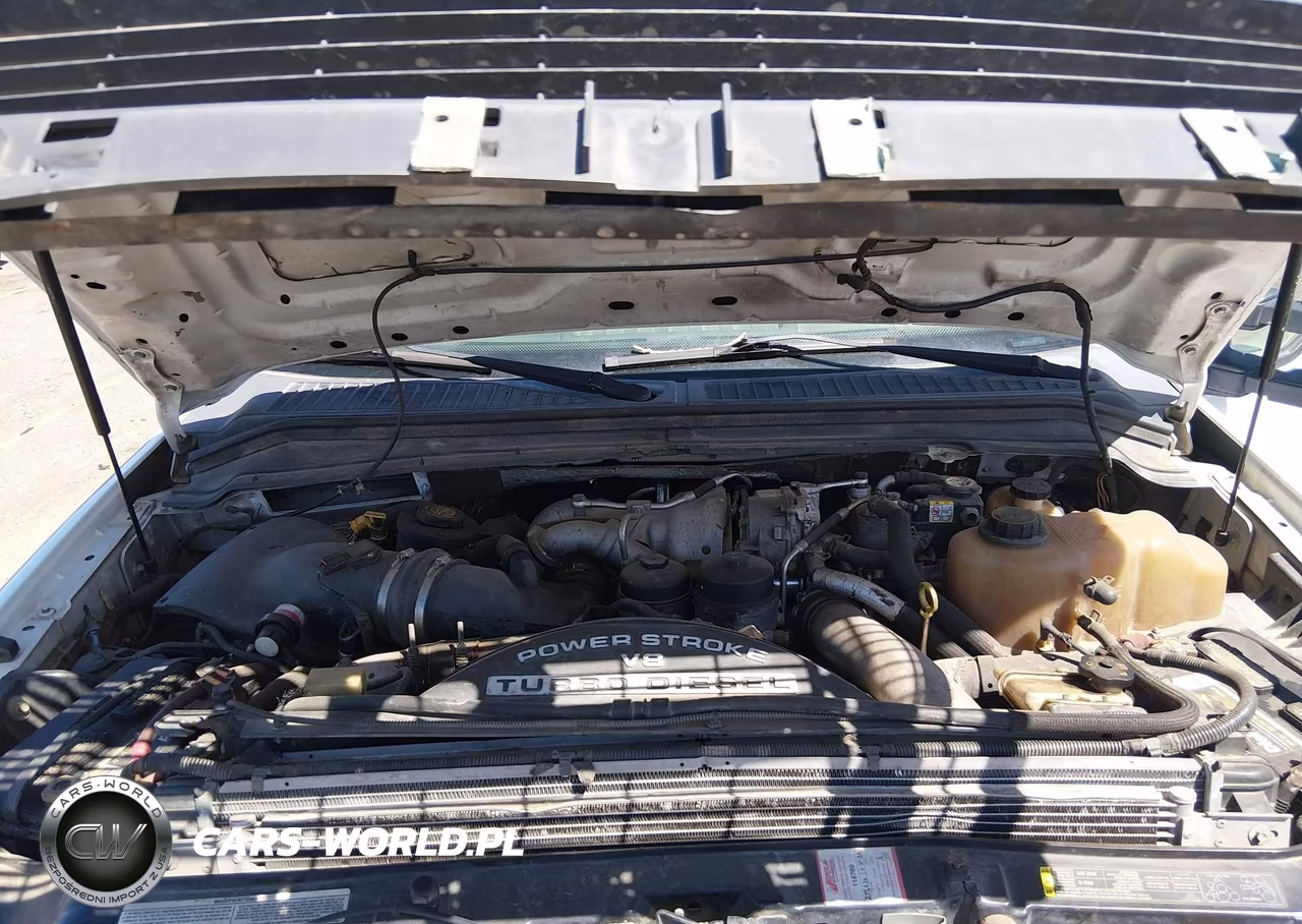 2008 Ford F-250 Fx4-Lariat-Xl-Xlt VIN:1FTSX21R38EA89879 - 10