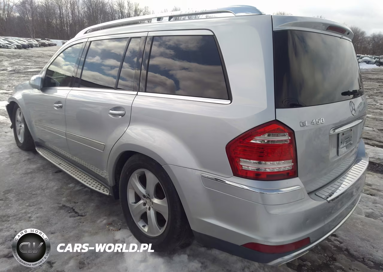 2010 Mercedes-Benz Gl 450 4Matic VIN:4JGBF7BB9AA532739 - 3