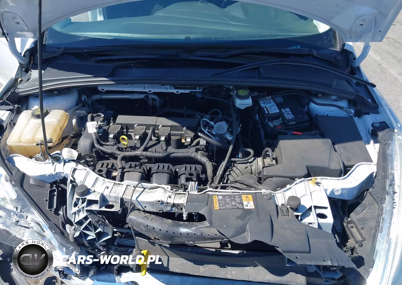 2018 Ford Focus Se VIN:1FADP3F2XJL220663 - 10