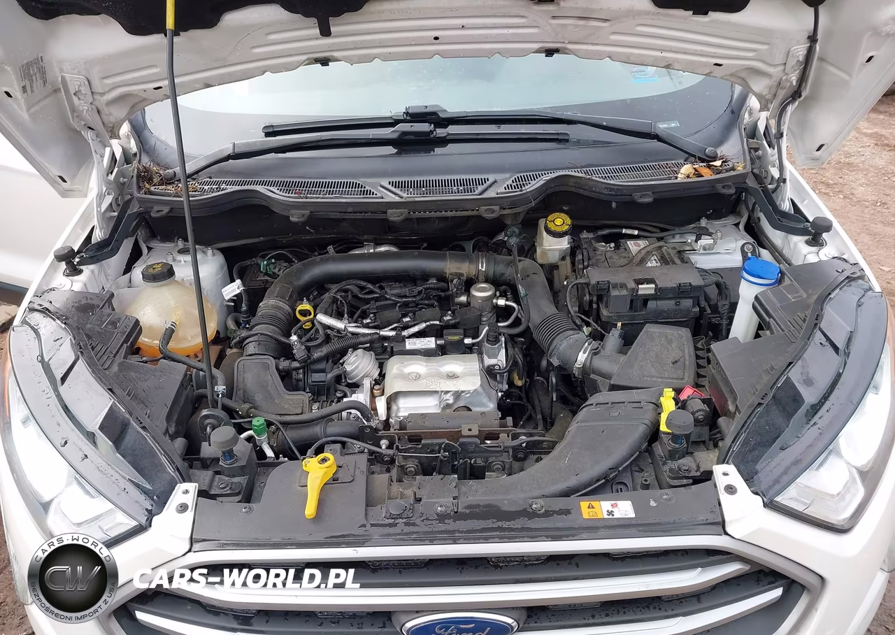 2018 Ford Ecosport Se VIN:MAJ3P1TE5JC201940 - 10