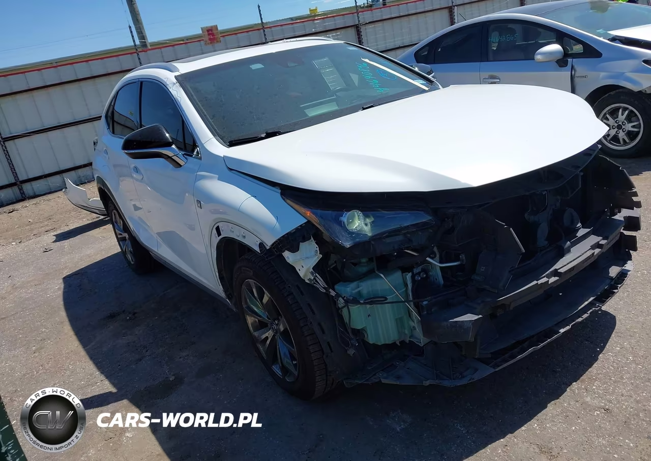 2019 Lexus Nx 300 F Sport
