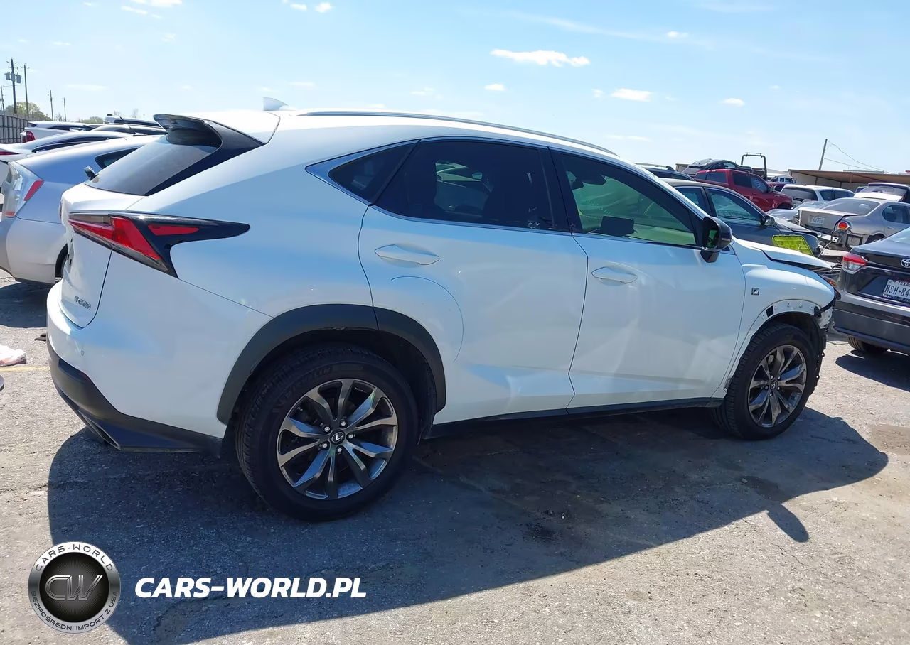 2019 Lexus Nx 300 F Sport VIN:JTJYARBZ8K2139992 - 13