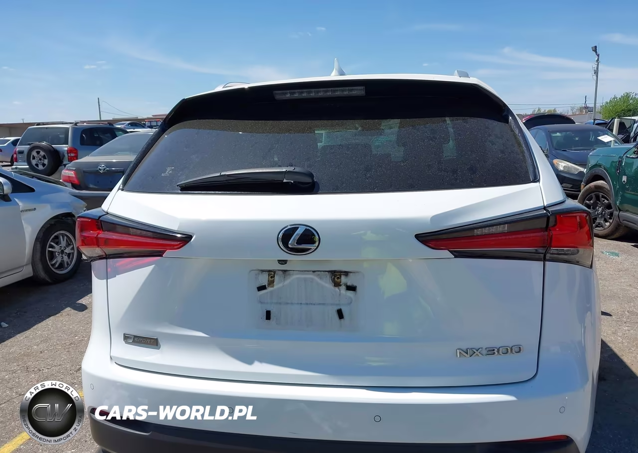 2019 Lexus Nx 300 F Sport VIN:JTJYARBZ8K2139992 - 16