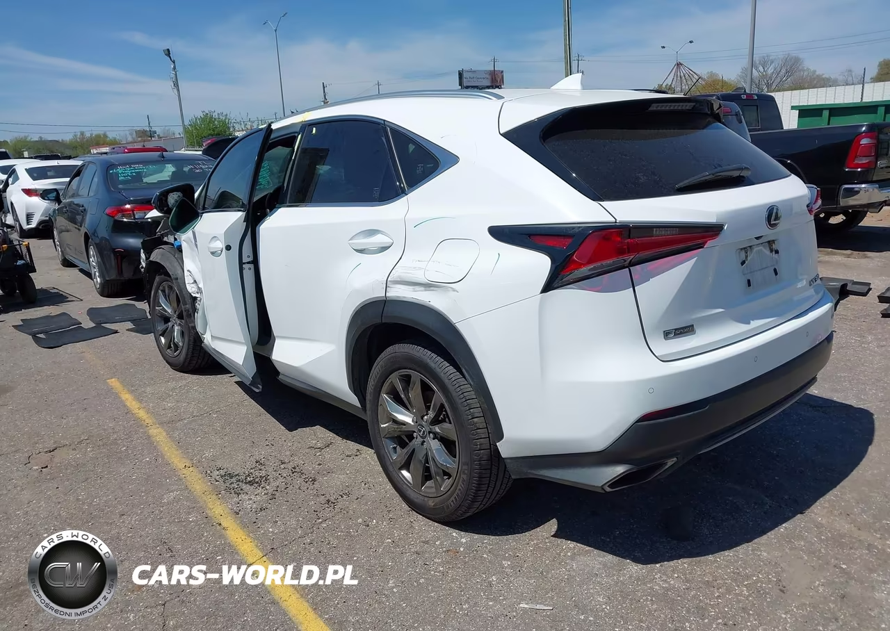 2019 Lexus Nx 300 F Sport VIN:JTJYARBZ8K2139992 - 3