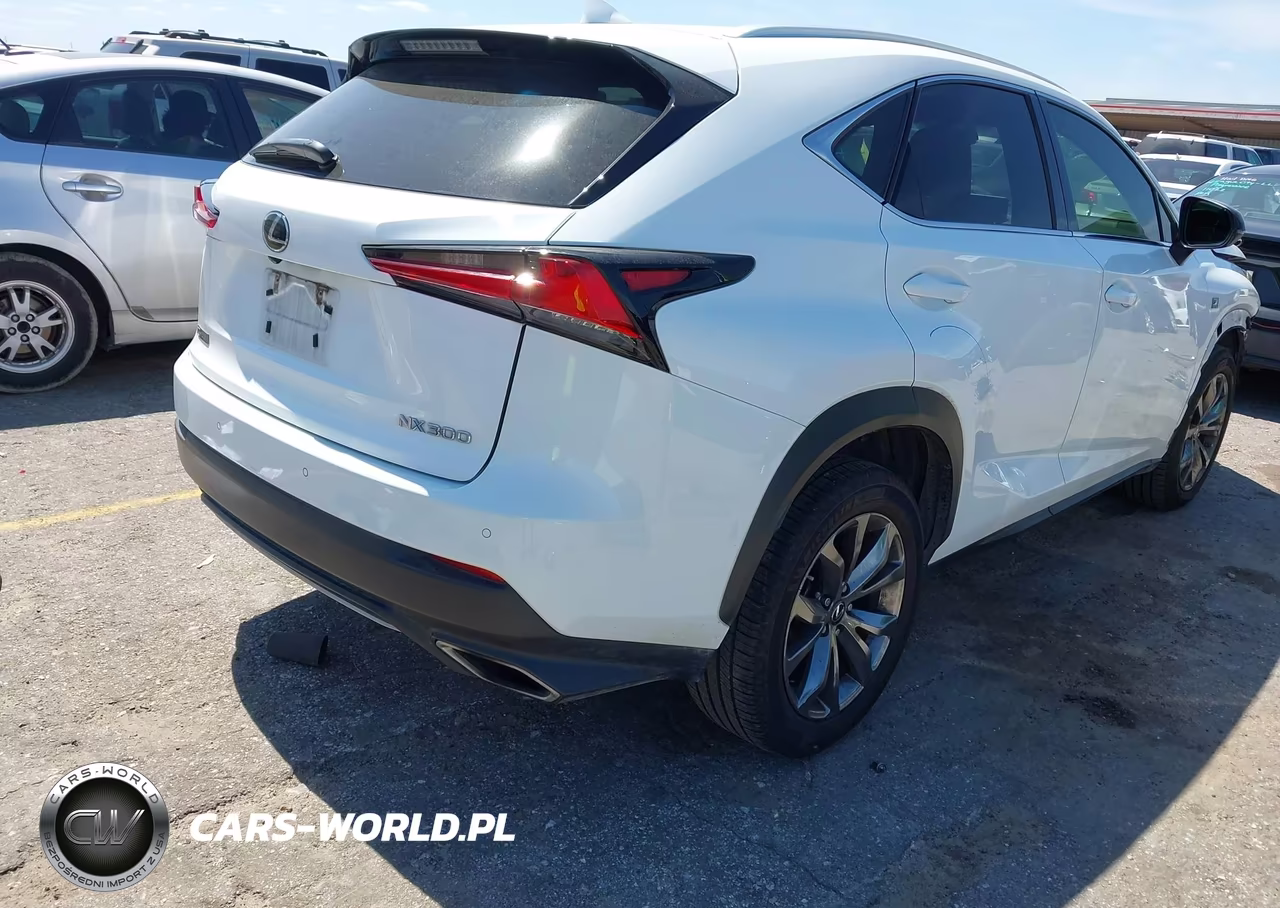 2019 Lexus Nx 300 F Sport VIN:JTJYARBZ8K2139992 - 4