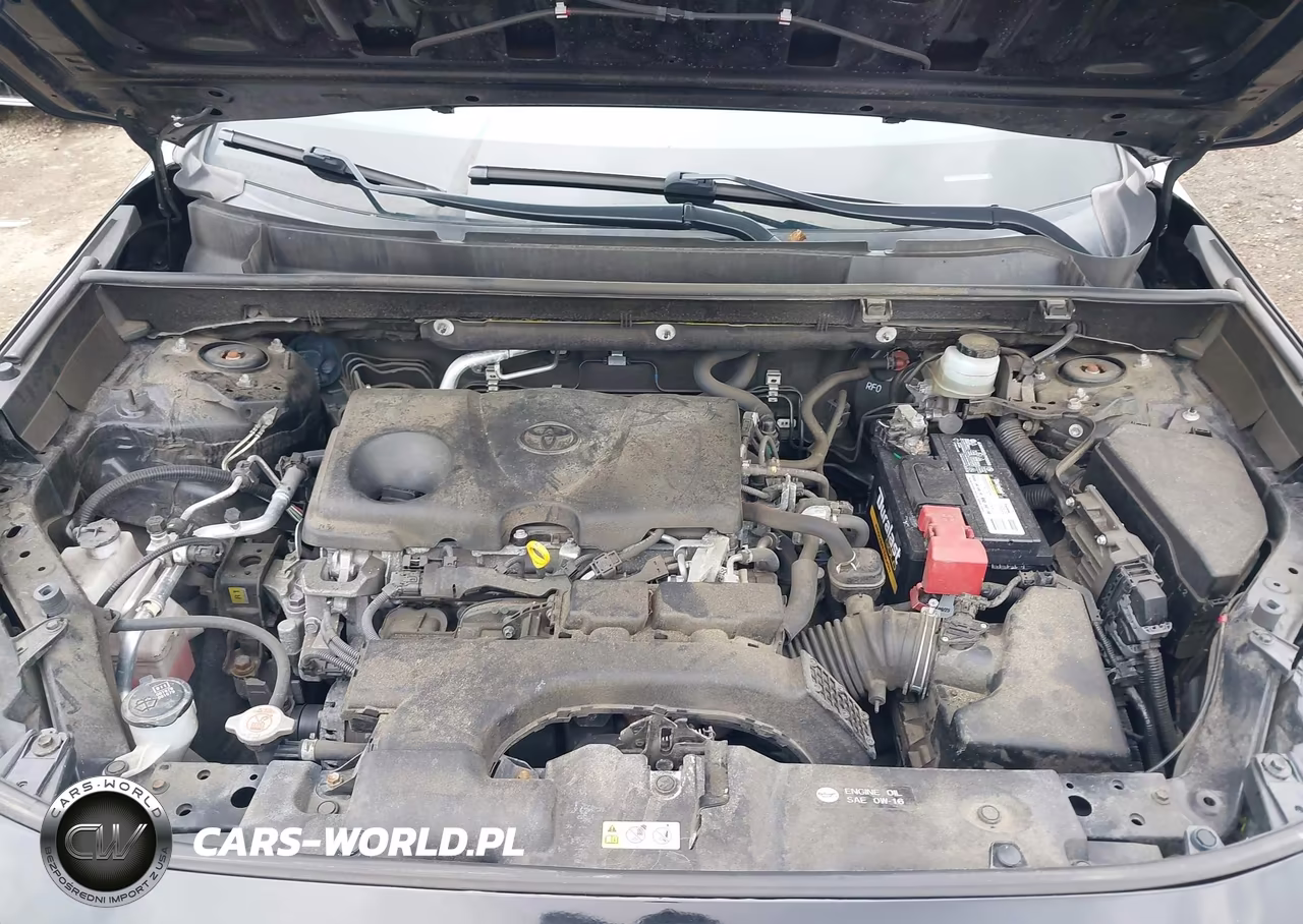 2019 Toyota Rav4 Le VIN:JTMF1RFV8KJ005300 - 10