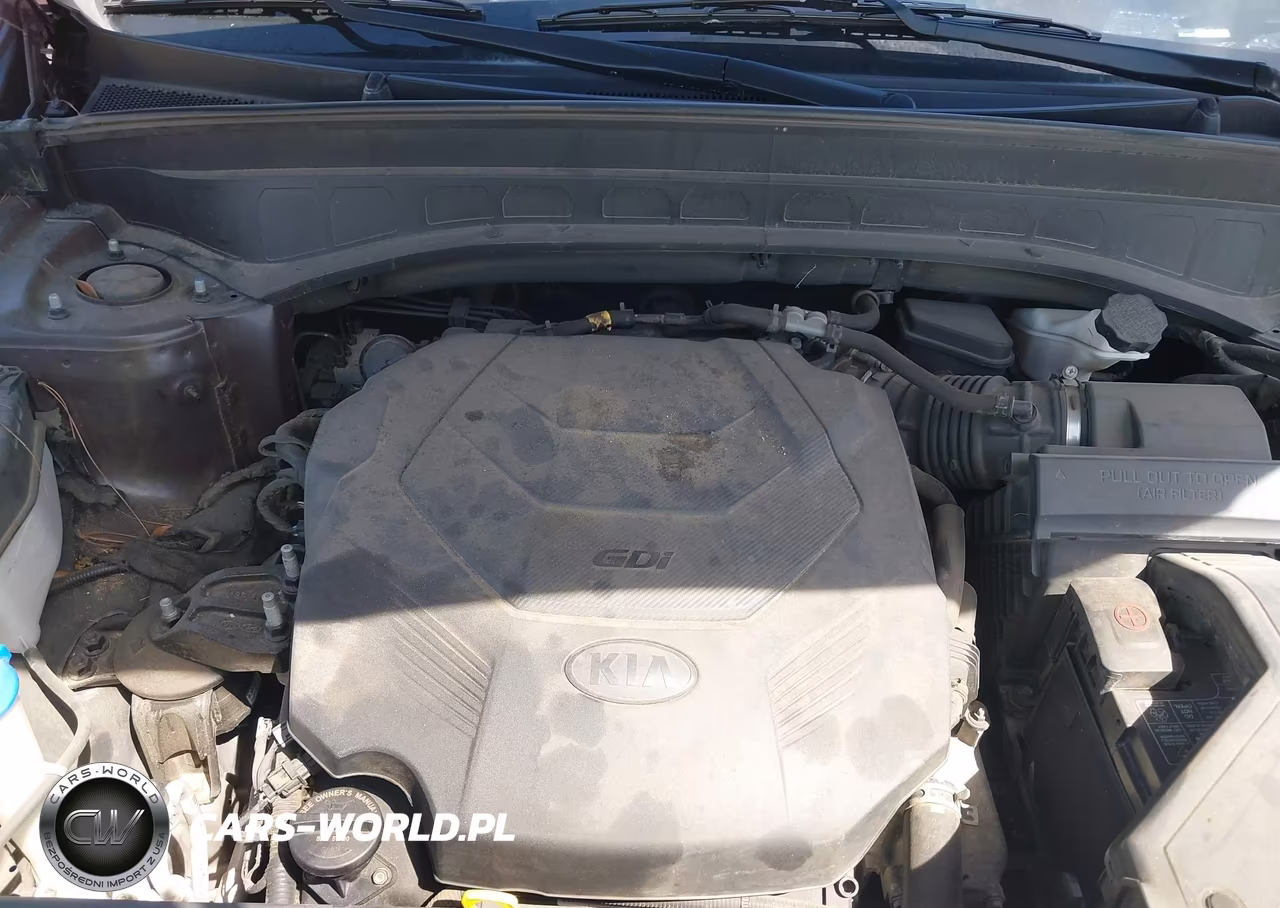 2020 Kia Telluride Lx VIN:5XYP24HC0LG086066 - 10