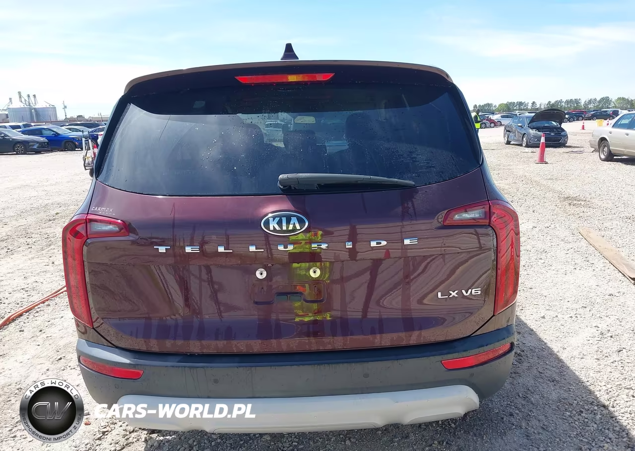 2020 Kia Telluride Lx VIN:5XYP24HC0LG086066 - 16