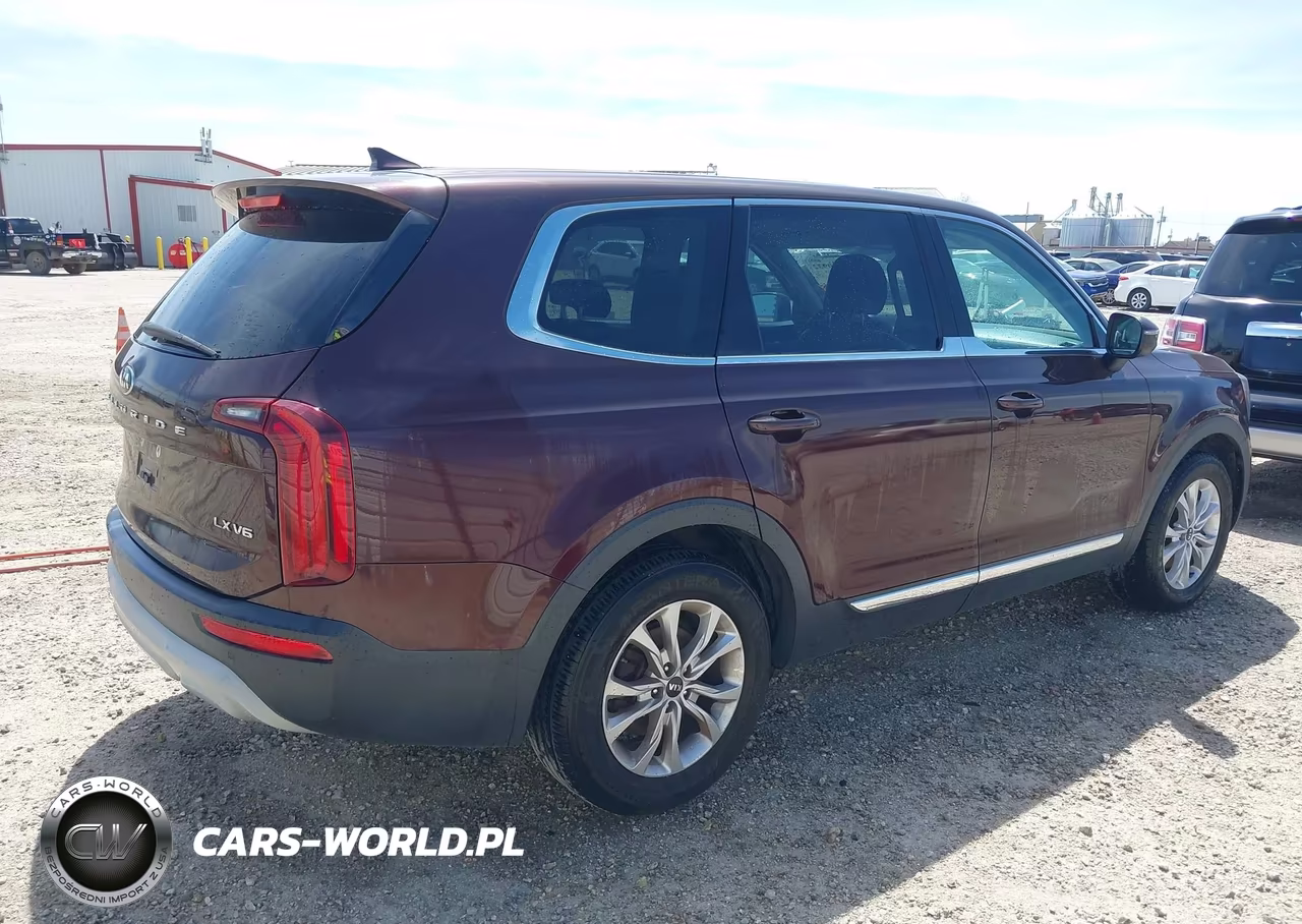 2020 Kia Telluride Lx VIN:5XYP24HC0LG086066 - 4