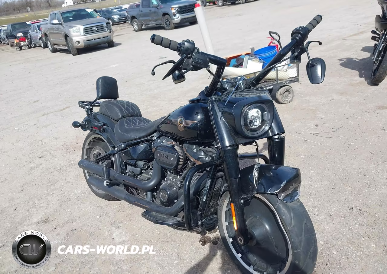 2020 Harley-Davidson Flfbsanv