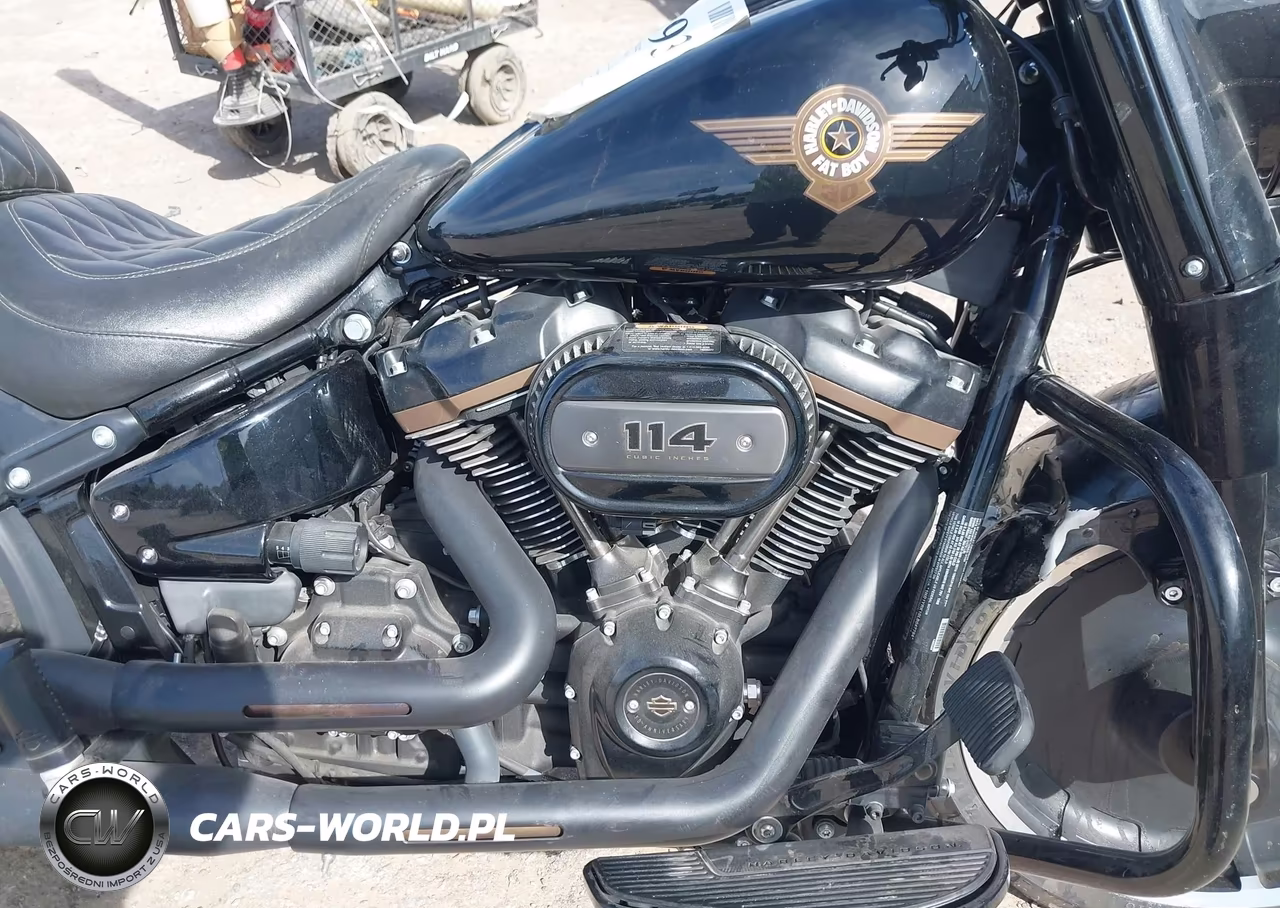 2020 Harley-Davidson Flfbsanv VIN:1HD1YRK19LB042794 - 8